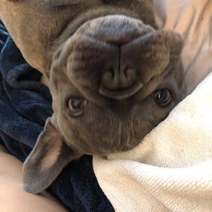 Meet your Posher, Ruby